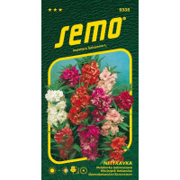 Impatiens balsamina / Netýkavka balsamina ´SMĚS BAREV´, bal. 0,7 g