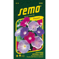 Ipomoea  purpurea / Povíjnice ´IMPERIAL SMĚS´, bal. 1 g