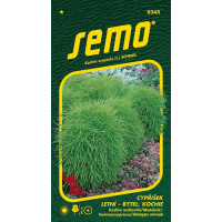 Kochia scoparia / Bytel metlovitý - cypryšek zelený, bal. 0,7 g