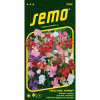 Lathyrus odoratus / Hrachor vonný ´CUPIDON´, bal. 2 g