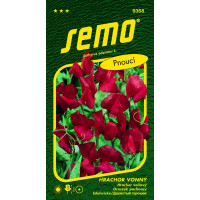 Lathyrus odoratus L. / Hrachor vonný MAMMOTH SCARLET, 2 g.