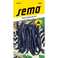 Fazol zahradní ´PURPLE PODDED CLIMBING´, bal. 7,0 g