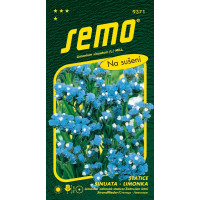 Limonium sinuatum / Statice sinuata - limonka ´AMETYST/BLUE´ (náhr. odr. HEAVENLY BLUE), bal. 0,5 g