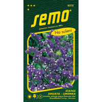 Limonium sinuatum / Statice sinuata - limonka ´DARK BLUE´ náhr. Kampfs Blue, bal. 0,5 g