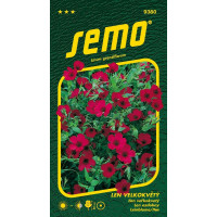 Linum grandiflorum / Len velkokvětý ´ČERVENÝ´, bal. 0,5 g