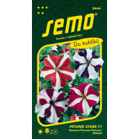 Petunia x hybrida / Petunie ´STAR F1´, bal. 30 pelet