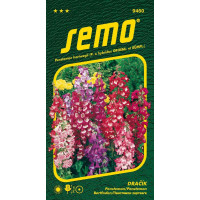 Penstemon hartwegii / Dračík ´SMĚS´, bal. 0,1 g