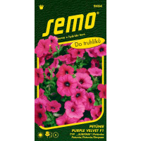 Petunia x hybrida / Petunie ´PURPLE VELVET F1´, bal. 10 pelet
