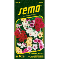 Phlox drummondii / Plaménka - flox ´BEAUTY SMĚS´, bal. 0,3 g