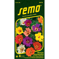 Portulaca grandiflora / Šrucha velkokvětá ´SMĚS´, bal. 0,2 g