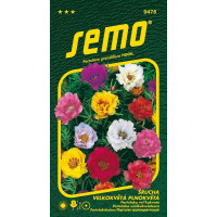 Portulaca grandiflora / Šrucha velkokvětá ´PLNOKVĚTÁ´, bal. 0,2 g