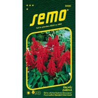 Salvia splendens / Šalvěj zářivá ´KARKULKA´, bal. 0,5 g