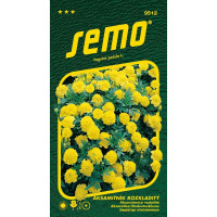 Tagetes patula / Aksamitník rozkladitý ´LEMON DROP´, bal. 1 g