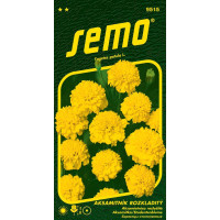 Tagetes patula / Aksamitník rozkladitý ´PETIT ŽLUTÝ´, bal. 1 g