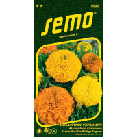 Tagetes erecta / Aksamitník vzpřímený ´DOUBLE GRANDE SMĚS´, bal. 0,5 g