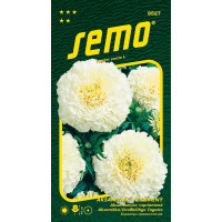 Tagetes erecta / Aksamitník vzpřímený ´KILIMANJARO WHITE´, bal. 15 s.