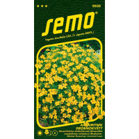 Tagetes tunifolia / Aksamitník drobnokvětý ´ŽLUTÝ´, bal. 0,2 g