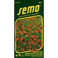 Tagetes tunifolia / Aksamitník drobnokvětý ´ČERVENÝ´, bal. 0,2 g