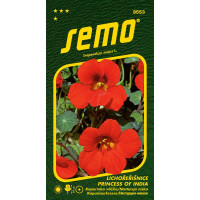 Tropaeolum majus L. / Lichořeřišnice PRINCESS OF INDIA, 2 g.