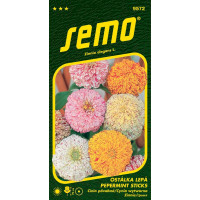 Zinnia elegans / Ostálka lepá ´PEPERMINT STICKS´, bal. 0,5 g