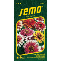 Zinnia elegans / Ostálka lepá ´CAROUSSEL´, bal. 0,7 g