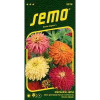 Zinnia elegans / Ostálka lepá ´KAKTUSOKVĚTÁ´, bal. 0,7 g