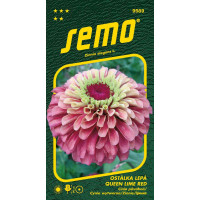 Zinnia elegans / Ostálka lepá QUEEN LIME RED, bal. 15 s.