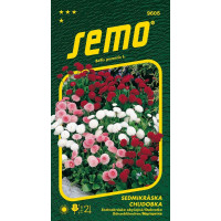 Bellis perenis / Sedmikráska chudobka ´PLNOKVĚTÁ SMĚS´, bal. 0,2 g