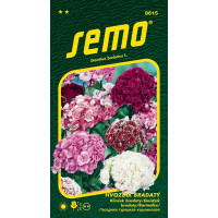 Dianthus barbatus / Hvozdík bradatý ´SMĚS´, bal. 0,5 g