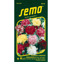 Dianthus caryophyllus / Hvozdík karafiát ´GRENADIN´, bal. 0,4 g