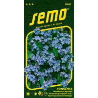 Myosotis alpestris / Pomněnka ´MODRÁ´, bal. 0,2 g
