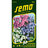 Myosotis alpestris / Pomněnka ´SMĚS´, bal. 0,2 g