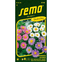 Aster alpinus / Hvězdnice alpská ´SMĚS BAREV´, bal. 0,7 g
