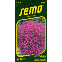 Aubrieta hybrida / Tařička ´LEICHTLINII´, bal. 0,2 g