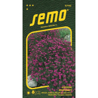 Dianthus deltoides / Hvozdík kropenatý ´MAIDEN PINK´, bal. 0,1 g