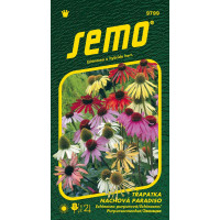 Echinacea purpurea L. Moench / Třapatka nachová PARADISO, 12 s.