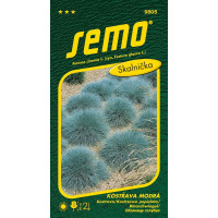 Festuca cinerea L. / Kostřava modrá ´VARNA´, bal. 0,4 g