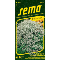Goniolimon tataricum / Suchobýl tatarský - statice tatarika ´BÍLÝ´, bal. 0,2 g