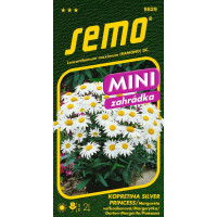 Leucanthemum maximum / Kopretina bílá ´SILVER PRINCESS´, bal. 0,3 g