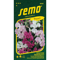 Lathyrus latifolius / Hrachor širokolistý ´SMĚS BAREV´, bal. 1 g