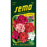 Pelargonium zonale / Muškát páskatý ´SMĚS´, bal. 0,05 g