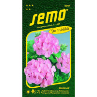 Pelargonium zonale (L.) L HĚR / Muškát páskatý RŮŽOVÝ, 0,05 g