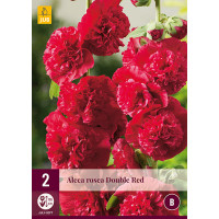 Alcea rosea ´Red´ / Topolovka / Slézová růže červená, bal. 2 ks, I.