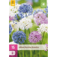 Allium ´Buzzing Beauties´ / Okrasný česnek, bal. 15 ks, 6/+