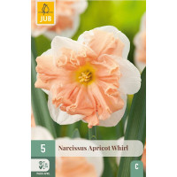 Narcis ´Apricot Whirl´ / Narcis, bal. 5 ks, 12/14