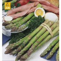 Asparagus Gijnlim / Chřest zelený, bal. 1 podzem., I