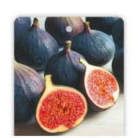 Ficus carica ´Black Mission´ / Černoplodý fíkovník, C2