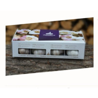 Allium sativum ´Mix 8´ / Sadbový česnek mix odrůd, bal. 8 hlaviček