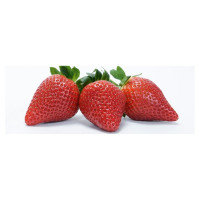 Fragaria ananassa ´Clery´ / Jahoda raná, bal. 6 ks, 6xK7