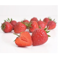 Fragaria ananassa ´Elvíra´ / Jahoda raná, bal. 6 ks, 6xK7